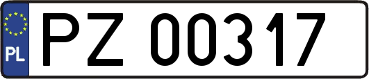 PZ00317