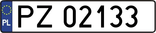 PZ02133
