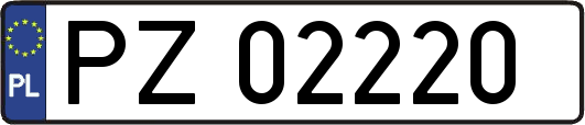 PZ02220