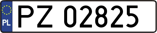 PZ02825