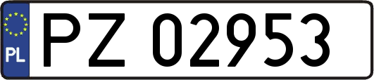 PZ02953