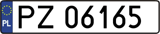 PZ06165