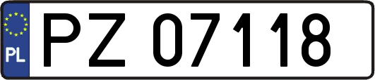 PZ07118