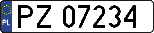 PZ07234