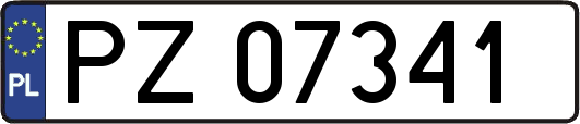 PZ07341