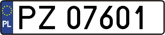 PZ07601