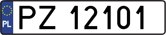 PZ12101