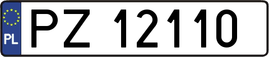 PZ12110