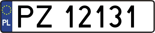 PZ12131