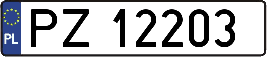 PZ12203