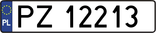 PZ12213