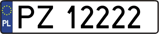 PZ12222