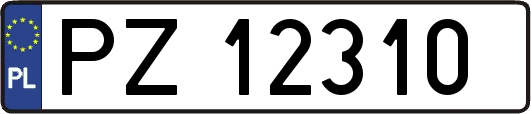 PZ12310
