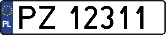PZ12311