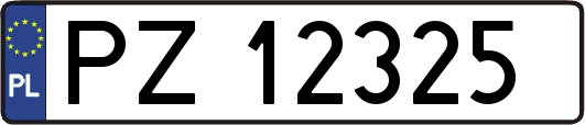PZ12325