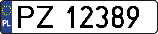 PZ12389