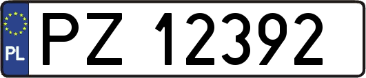 PZ12392