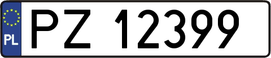 PZ12399