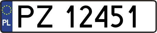 PZ12451