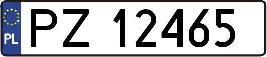 PZ12465