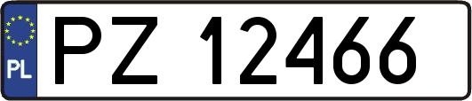 PZ12466