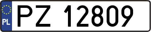 PZ12809
