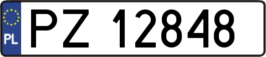 PZ12848