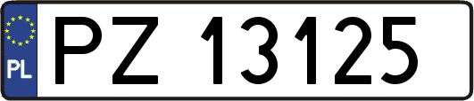 PZ13125