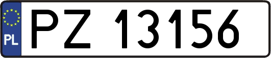 PZ13156