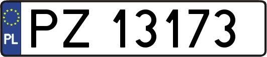 PZ13173