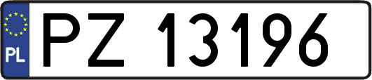 PZ13196