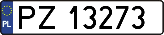 PZ13273