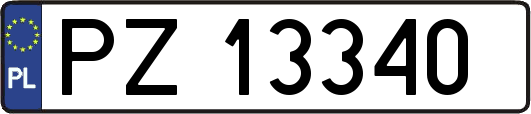 PZ13340