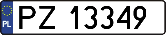 PZ13349