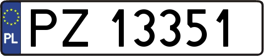 PZ13351