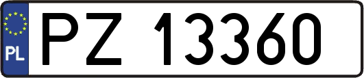 PZ13360