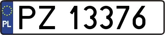 PZ13376