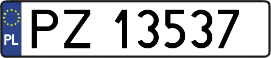 PZ13537