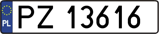 PZ13616