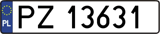 PZ13631