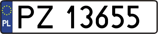 PZ13655