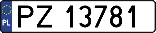 PZ13781