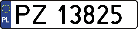 PZ13825