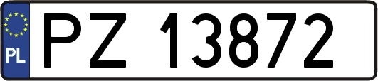 PZ13872