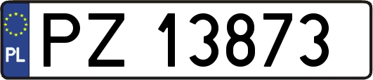 PZ13873