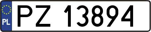 PZ13894