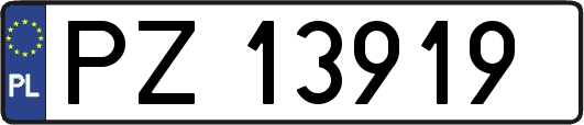 PZ13919