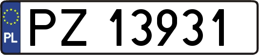 PZ13931