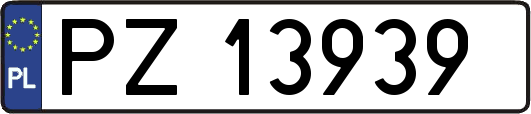 PZ13939