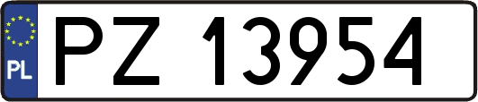 PZ13954